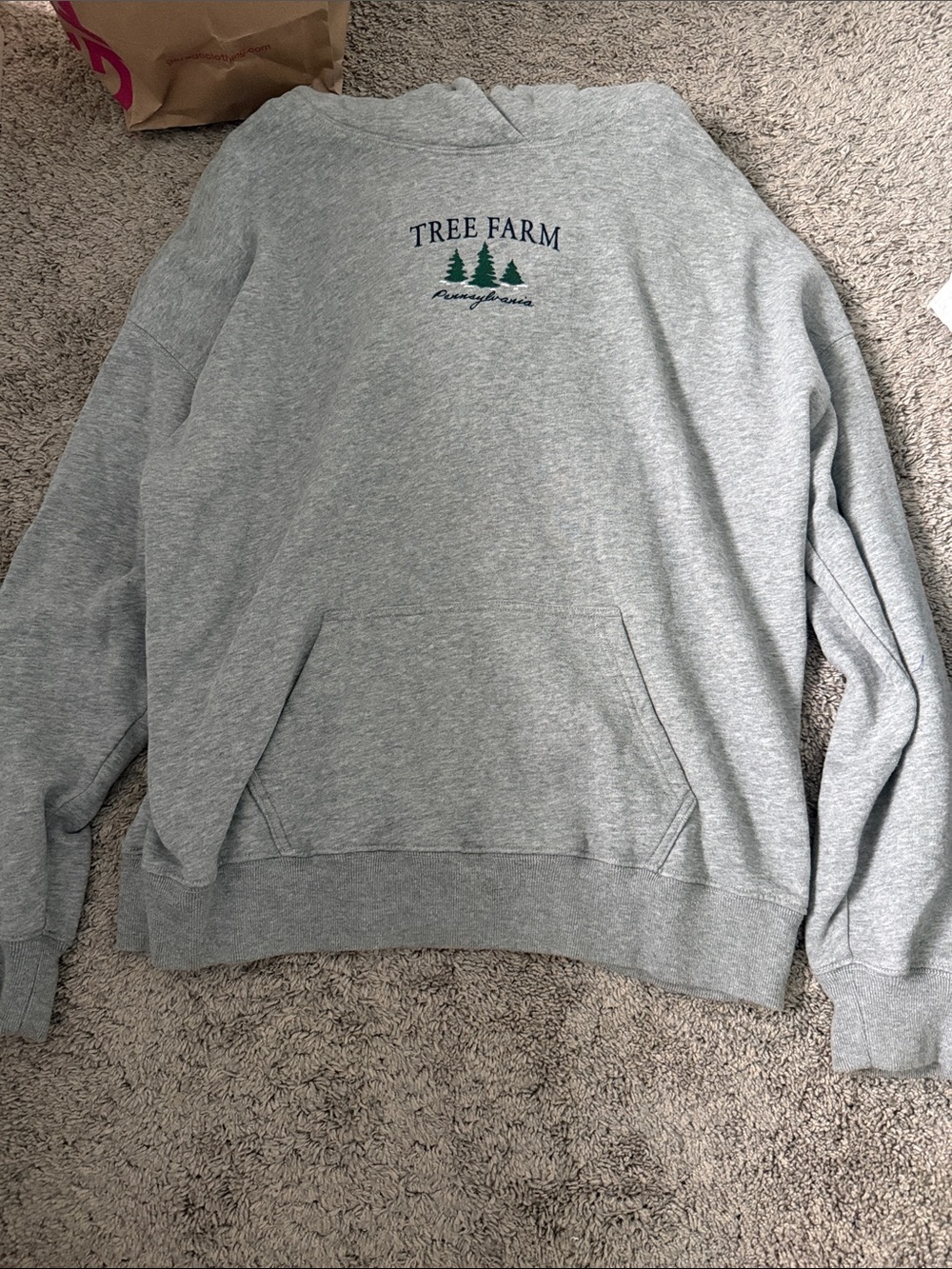 Gray Pullover Hoodie - Womens Casual Sweatshirt
